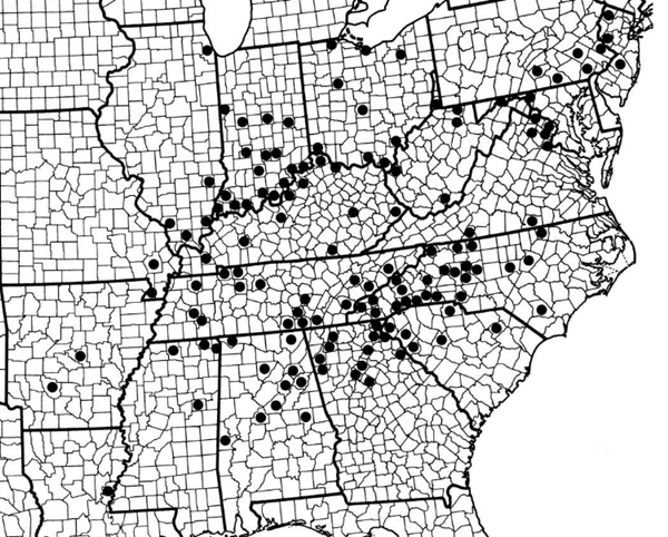 The range of Fraxinus biltmoreana